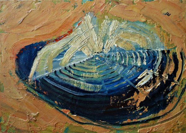 velella velella