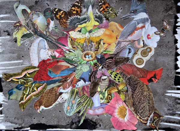 nest mandala 1