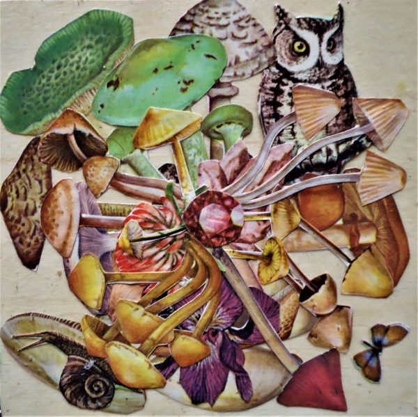 mushroom mandala 4