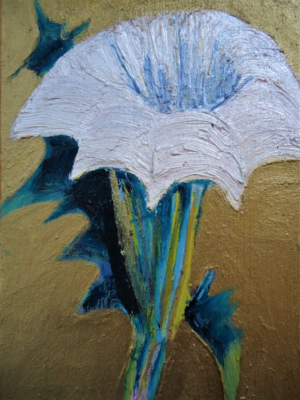 datura flowers - Image 3