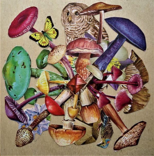 mushroom mandala 6