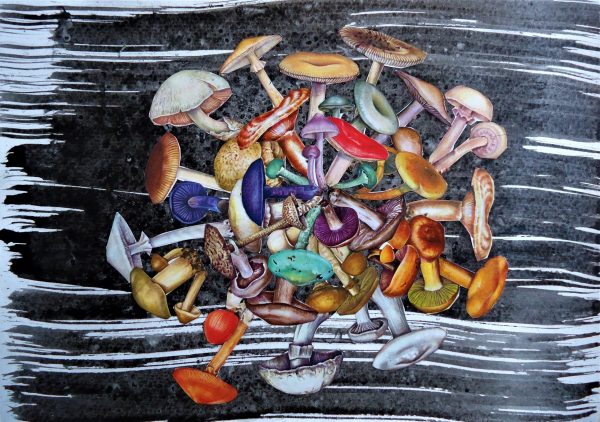 mushroom mandala 8