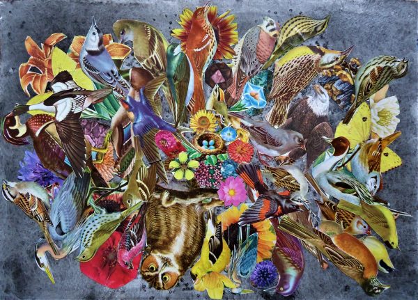 nest mandala 2