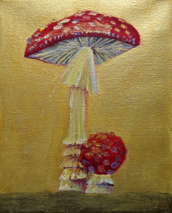 amanita mushrooms - Image 5