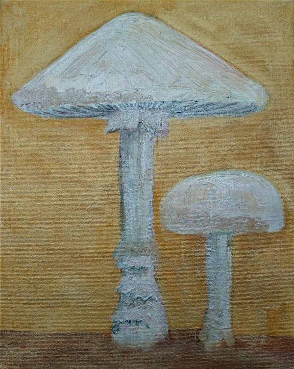 amanita mushrooms - Image 6