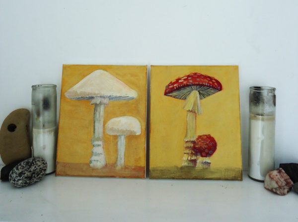 amanita mushrooms - Image 4