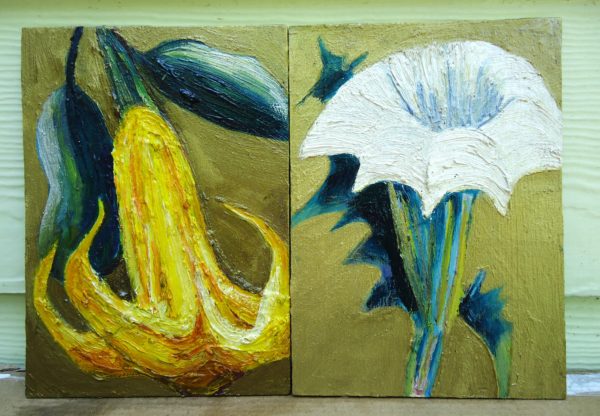 datura flowers