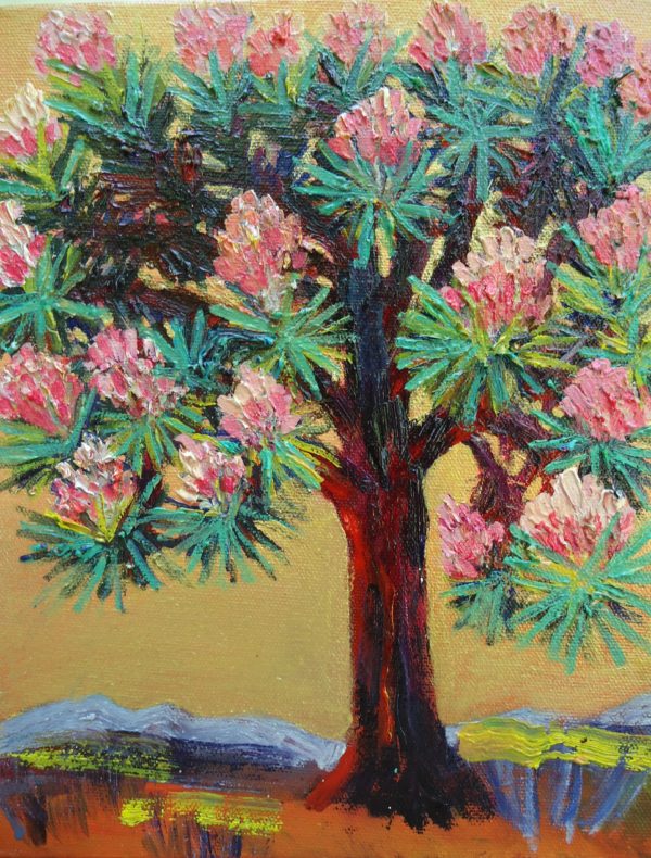 joshua tree - Image 2