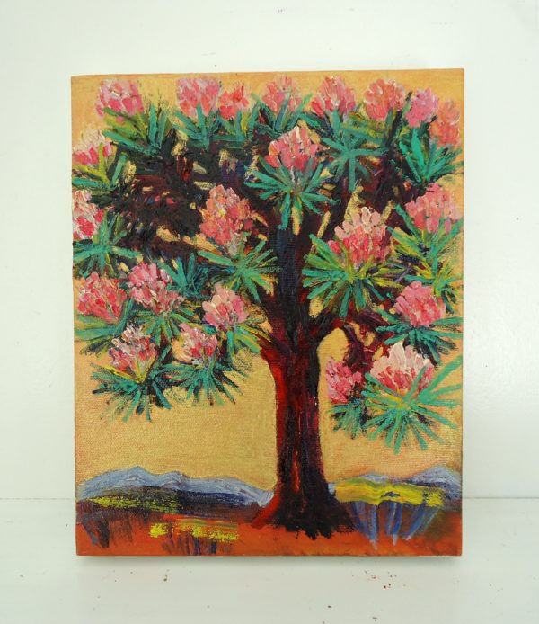 joshua tree