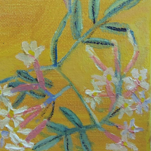 jasmine - Image 4
