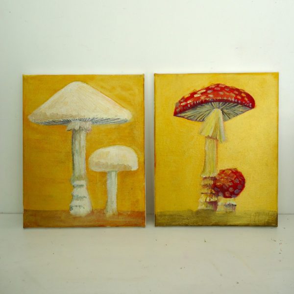 amanita mushrooms - Image 2