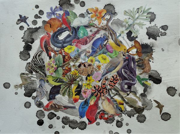 nest mandala 3