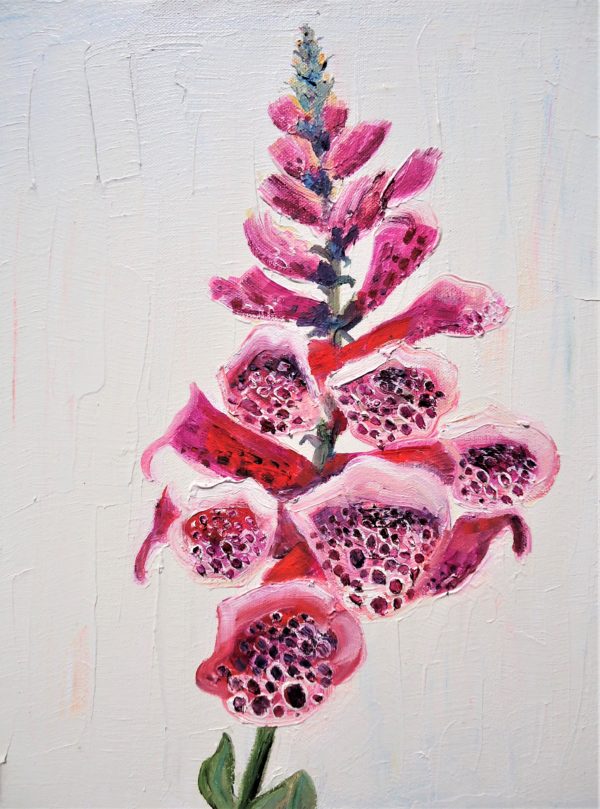 foxglove