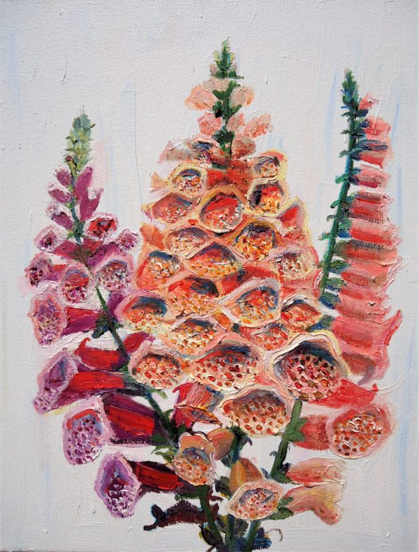 foxgloves