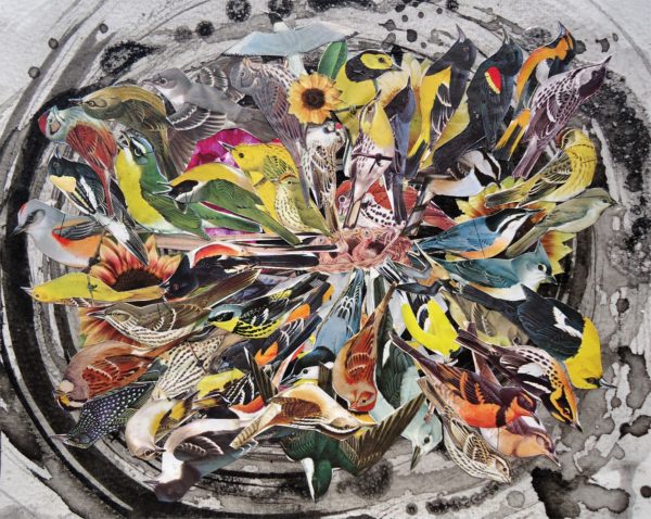 nest mandala 4