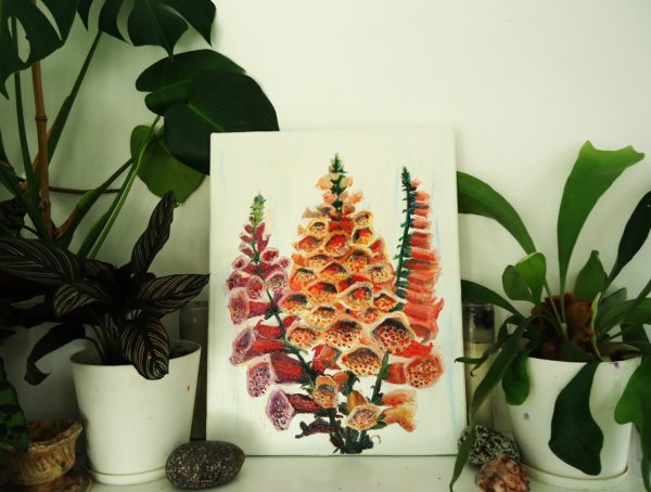 foxgloves - Image 2