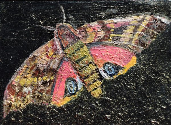 eyed sphinx moth