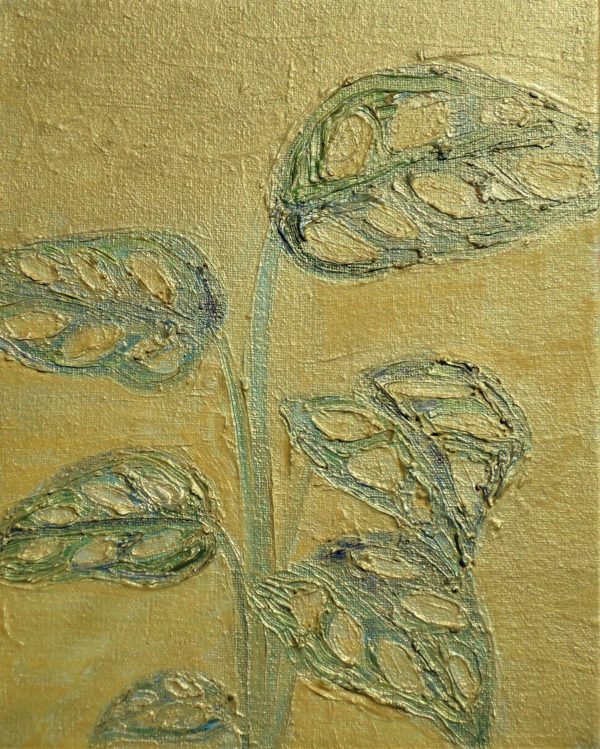 monstera adansonii - Image 2