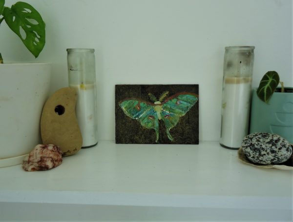 luna moth - Image 2