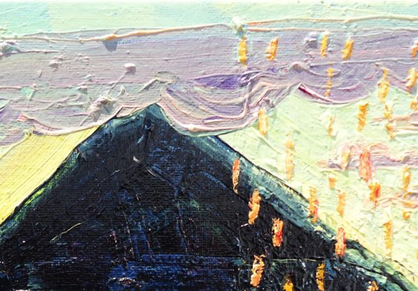 volcan concepcion - Image 4