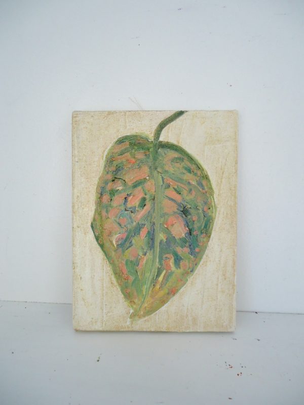 leaf