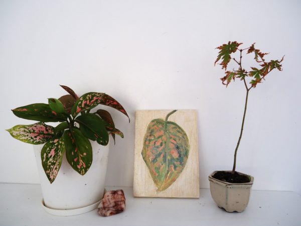 leaf - Image 3