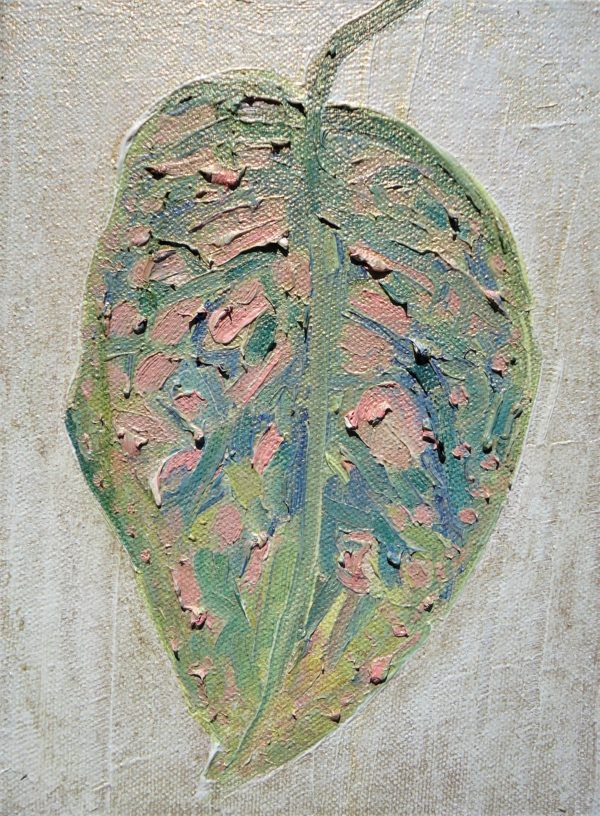 leaf - Image 2