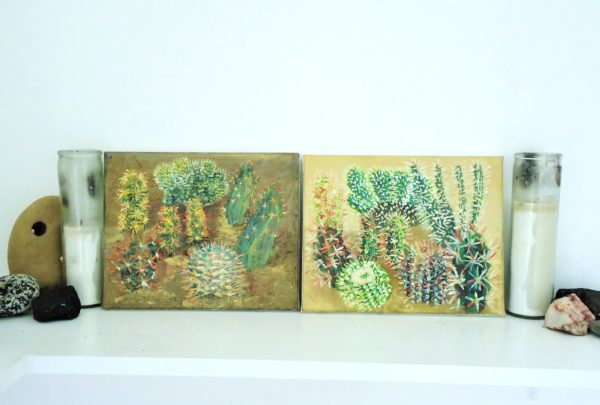 cactus garden 3 - Image 3
