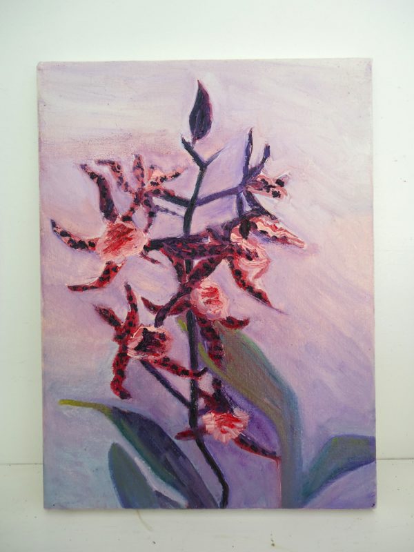 orchid