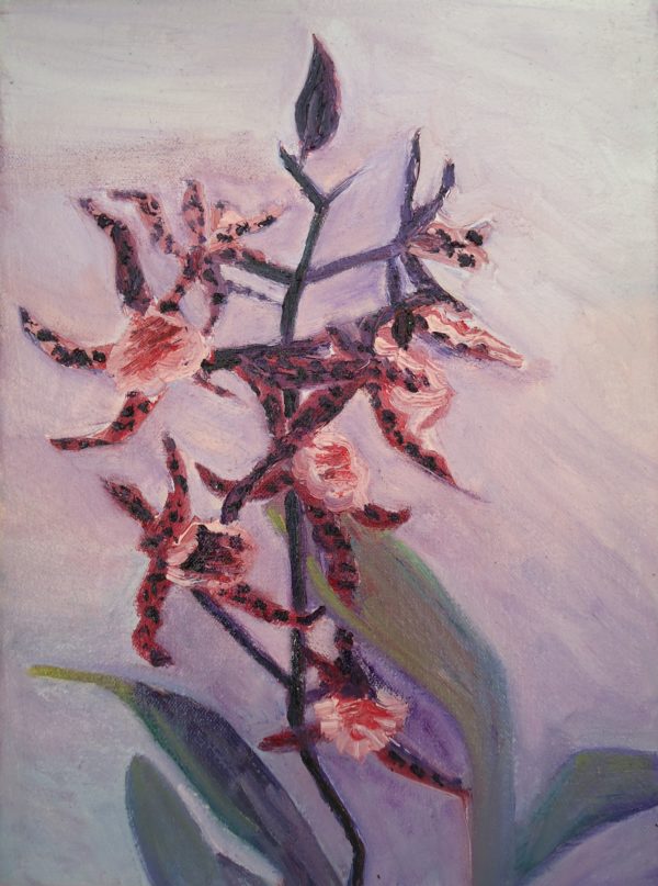 orchid - Image 2