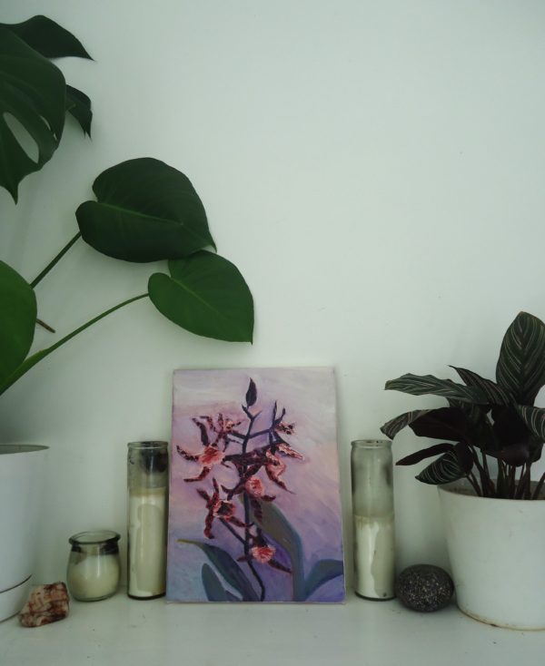 orchid - Image 3
