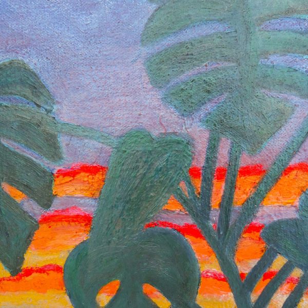 monstera - Image 4