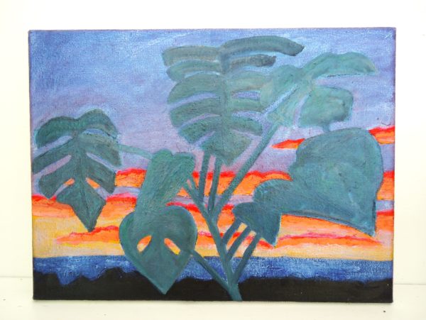 monstera