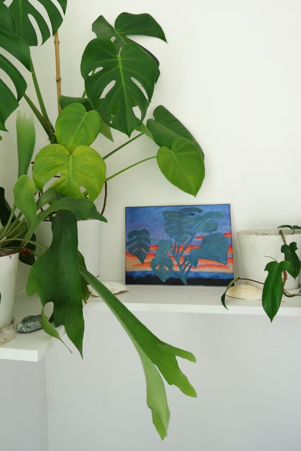 monstera - Image 3