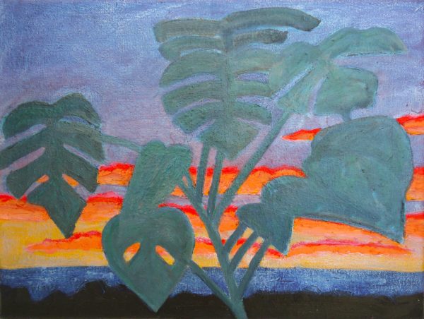 monstera - Image 2