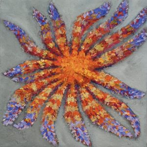 sunflower star